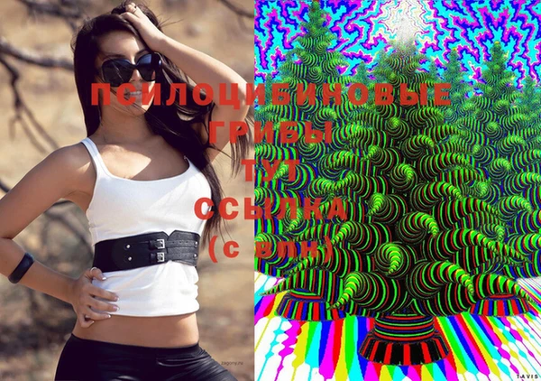 МДМА Богданович