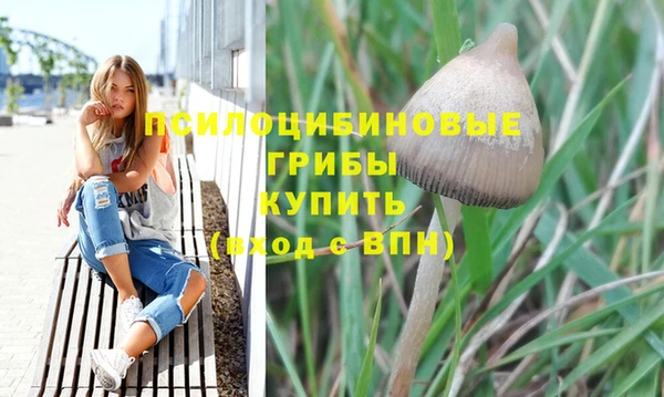 альфа пвп Богородск